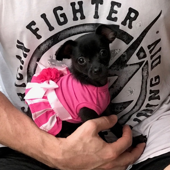 Meet your Posher, Mary - Picture 6 of 8